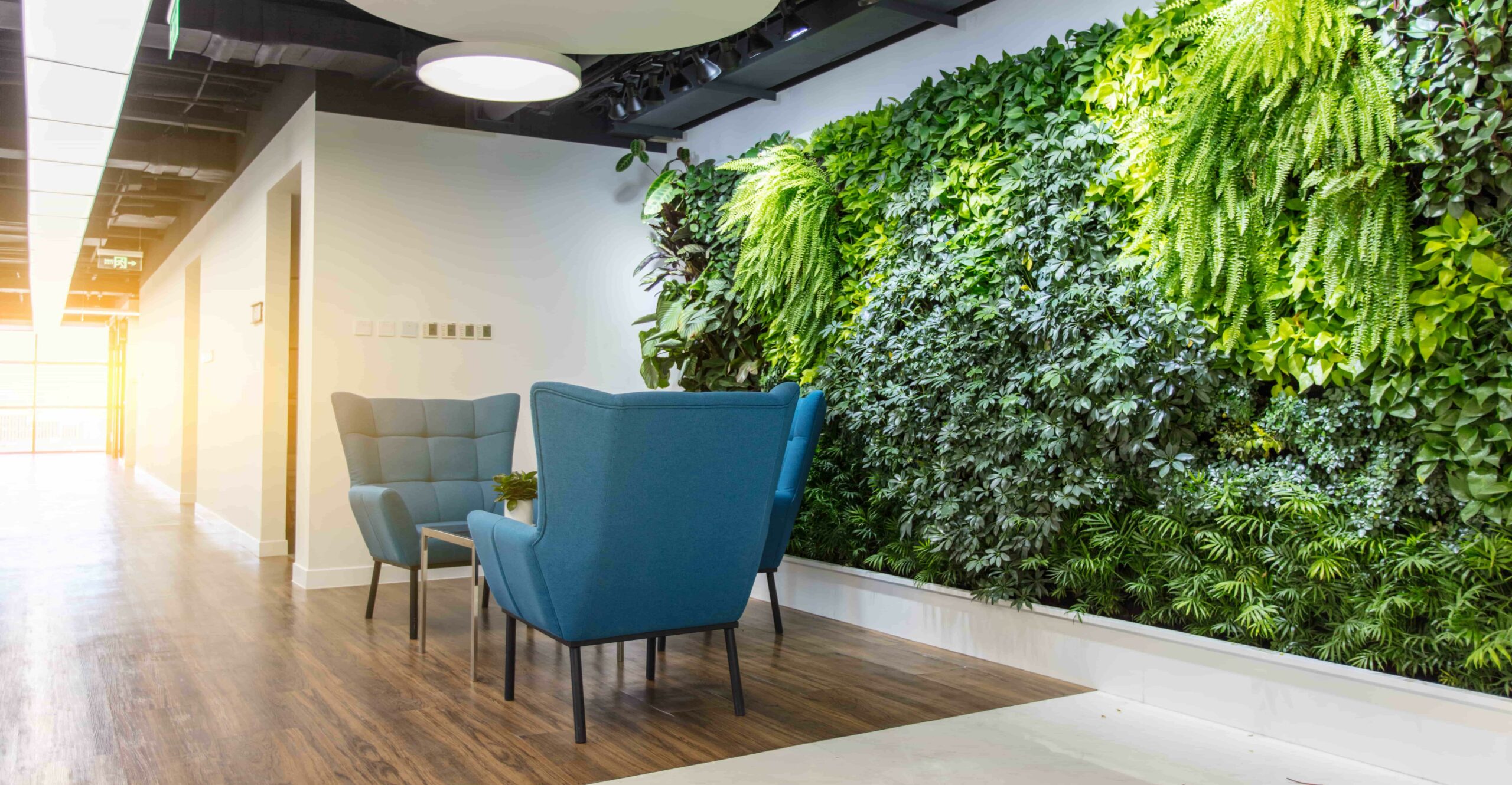 Decoración de oficinas y su impacto en la productividad laboral