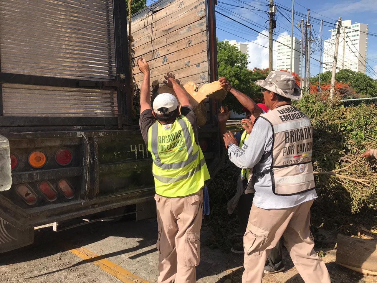 CON DESCACHARRIZACIÓN GOBIERNO DE BJ CUIDA SALUD DE BENITOJUARENSES