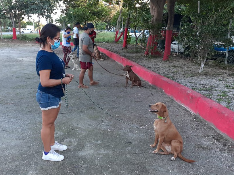 BOMBEROS OFRECEN CURSO DE ADIESTRAMIENTO CANINO