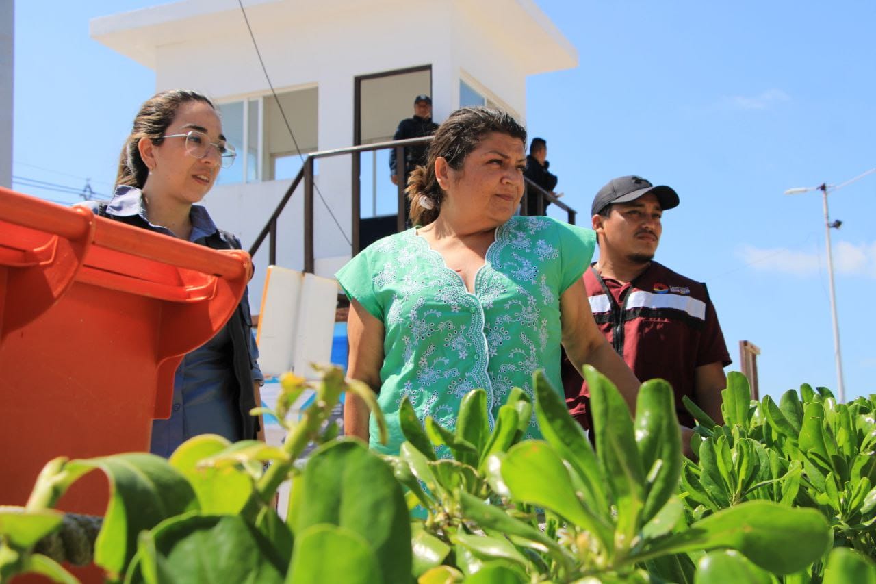 TRABAJAN GOBIERNO Y SOCIEDAD PARA LIMPIEZA PERMANENTE DE PLAYAS DE CANCÚN