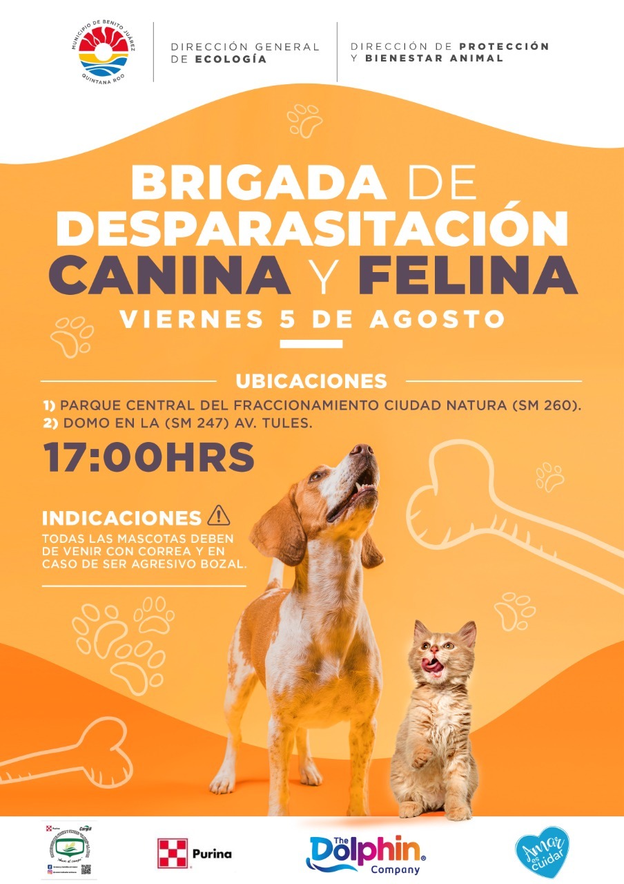 ORGANIZAN BRIGADA DE DESPARASITACIÓN CANINA Y FELINA EN CANCÚN