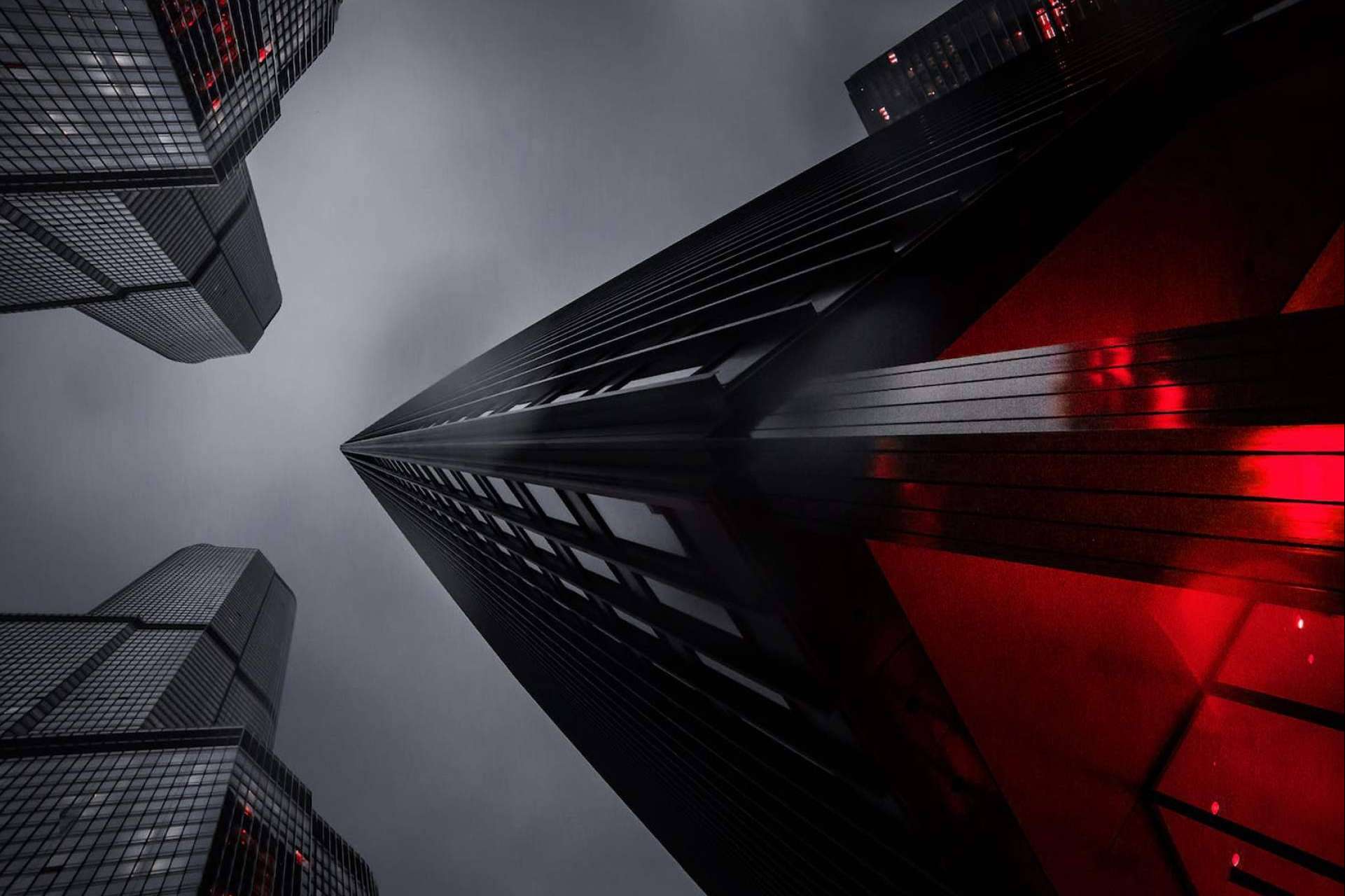 XP Group Business Network, la plataforma para desarrollar cualquier negocio