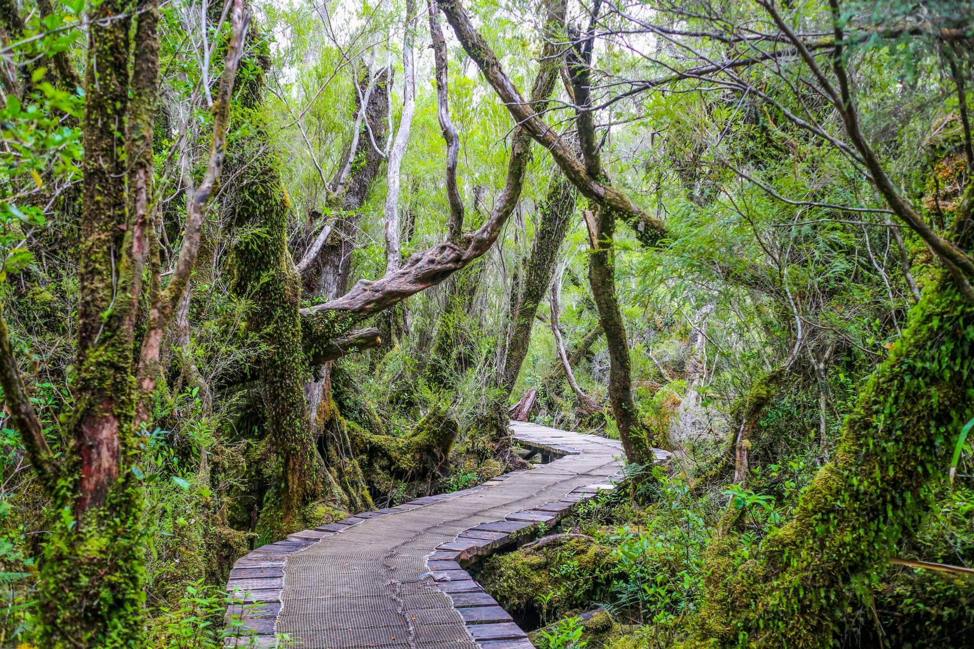El desarrollo de Chiloé, la isla más grande al sur de Chile