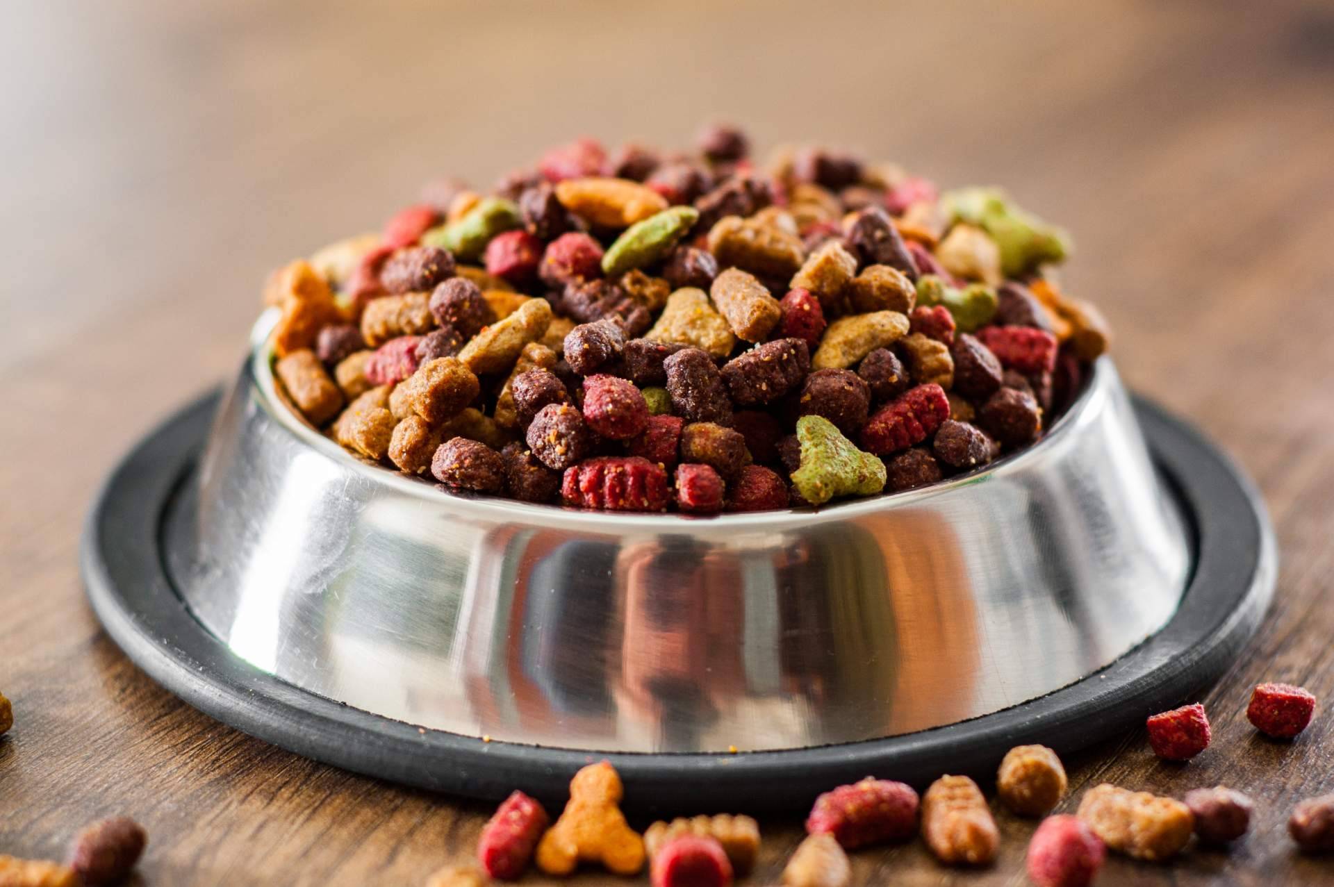 La ayuda de Kaman Pet y su sistema de calidad nutricional Kaman Points para encontrar el alimento ideal para una mascota