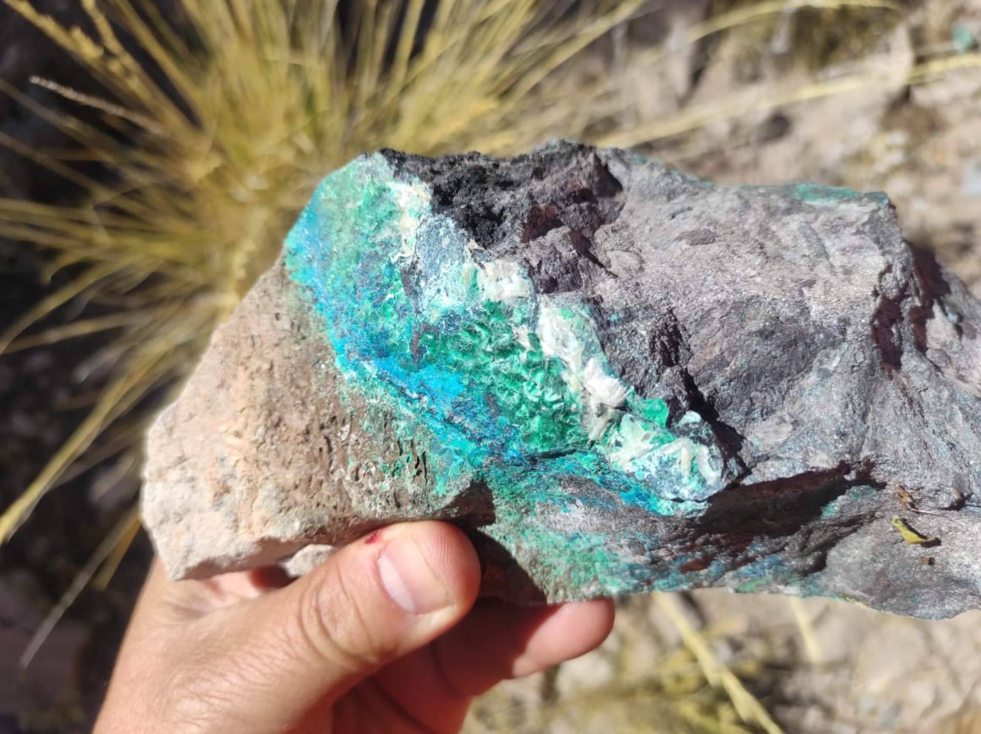Un médico chileno conocido preside el directorio de inversión en pequeña minería en Latinoamérica
