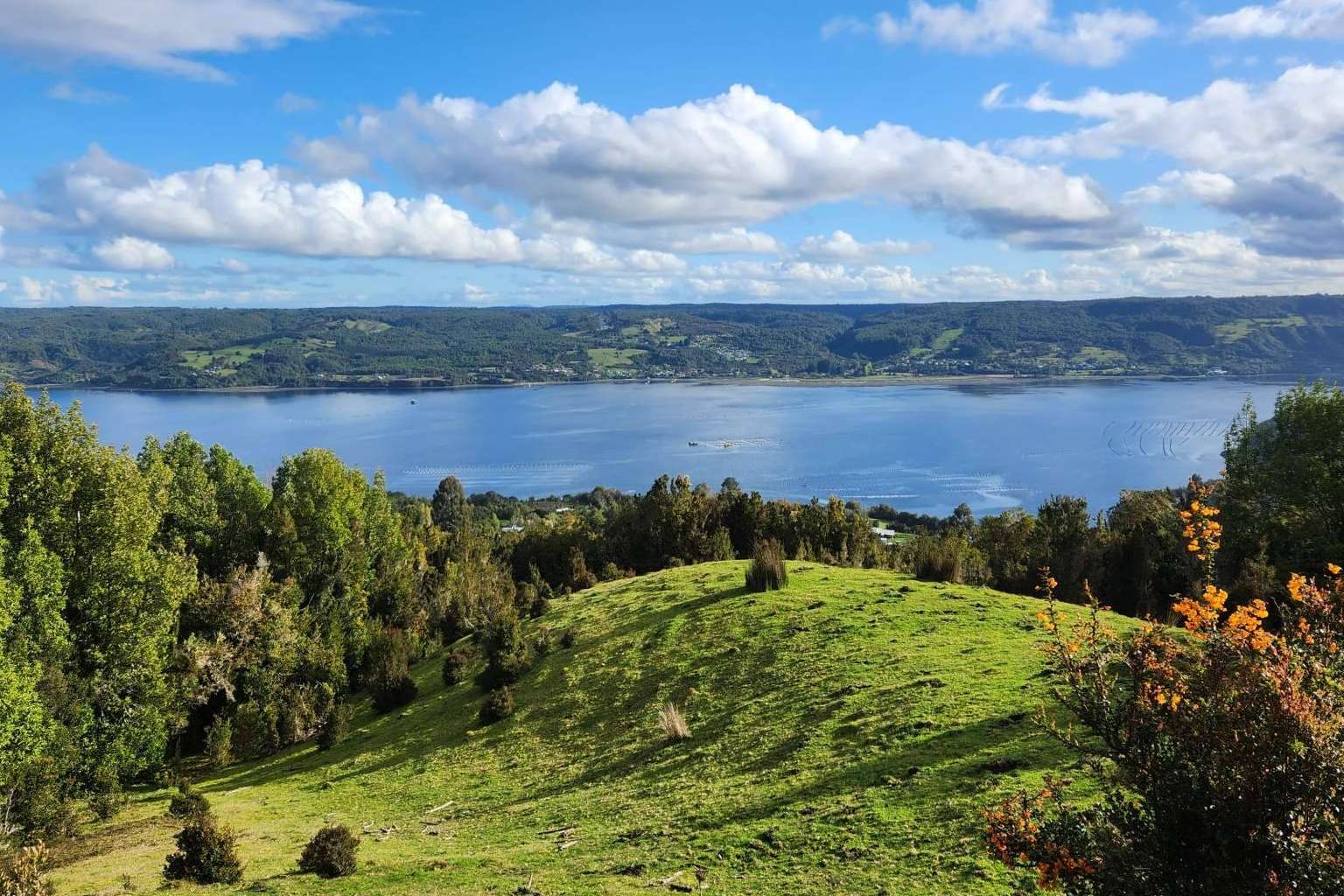 Latitudes Australes, uno de los grandes pioneros en la venta de proyectos de parcelas en el sur de Chile