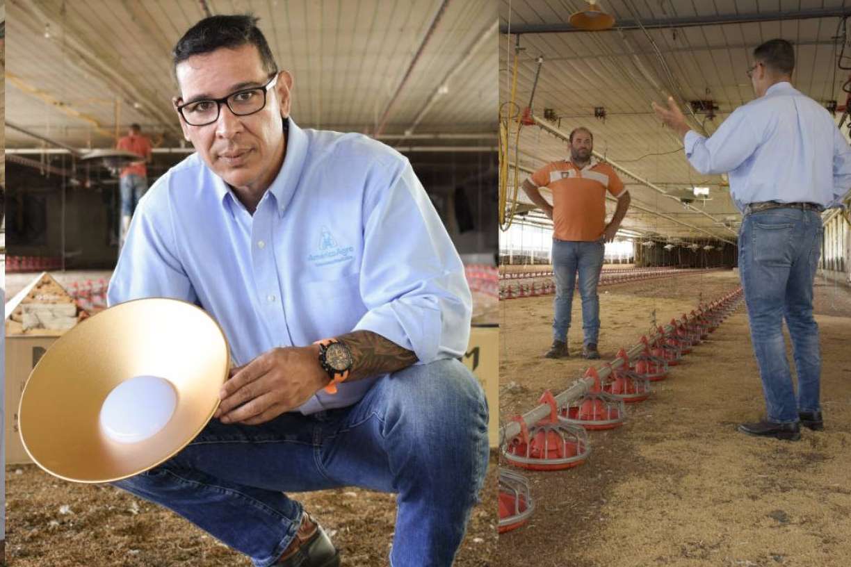 ¿Cómo optimizar la producción avícola? AméricaAgro y su asesoría de vanguardia