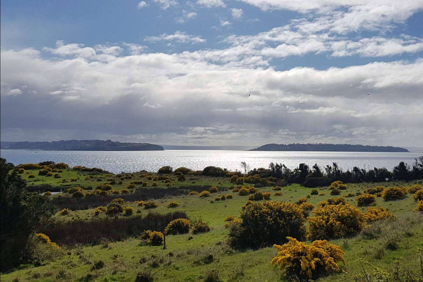 Chiloé es una tierra repleta de oportunidades, según Latitudes Australes