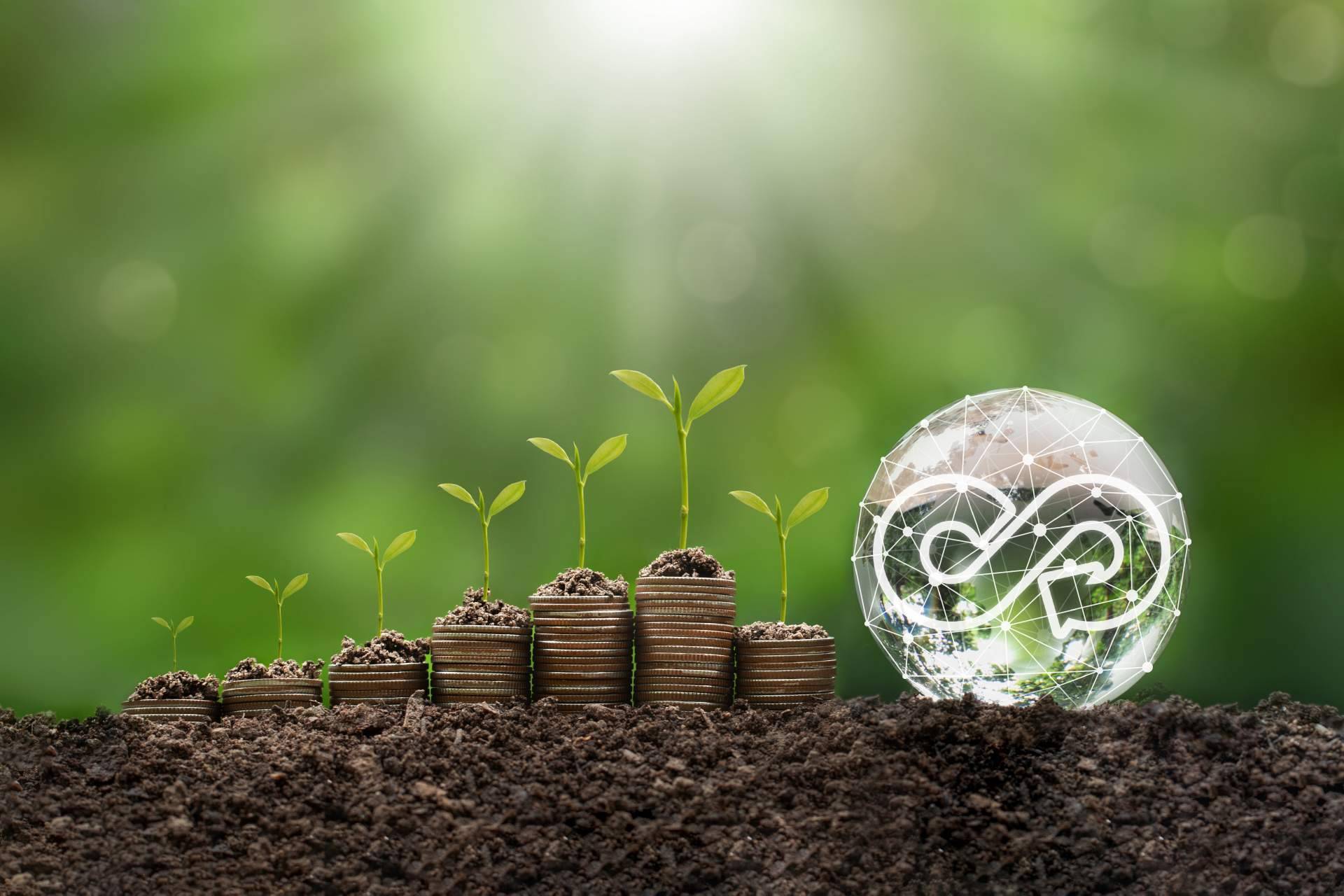 Toda la información sobre la sostenibilidad financiera, por Grupo Promerica