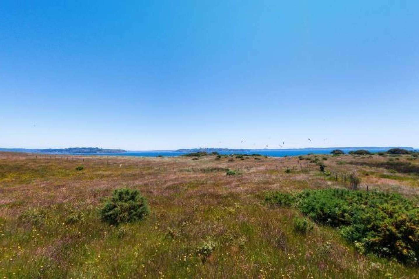 Innovación y naturaleza. Latitudes Australes está redefiniendo el mercado de parcelas en el sur de Chile
