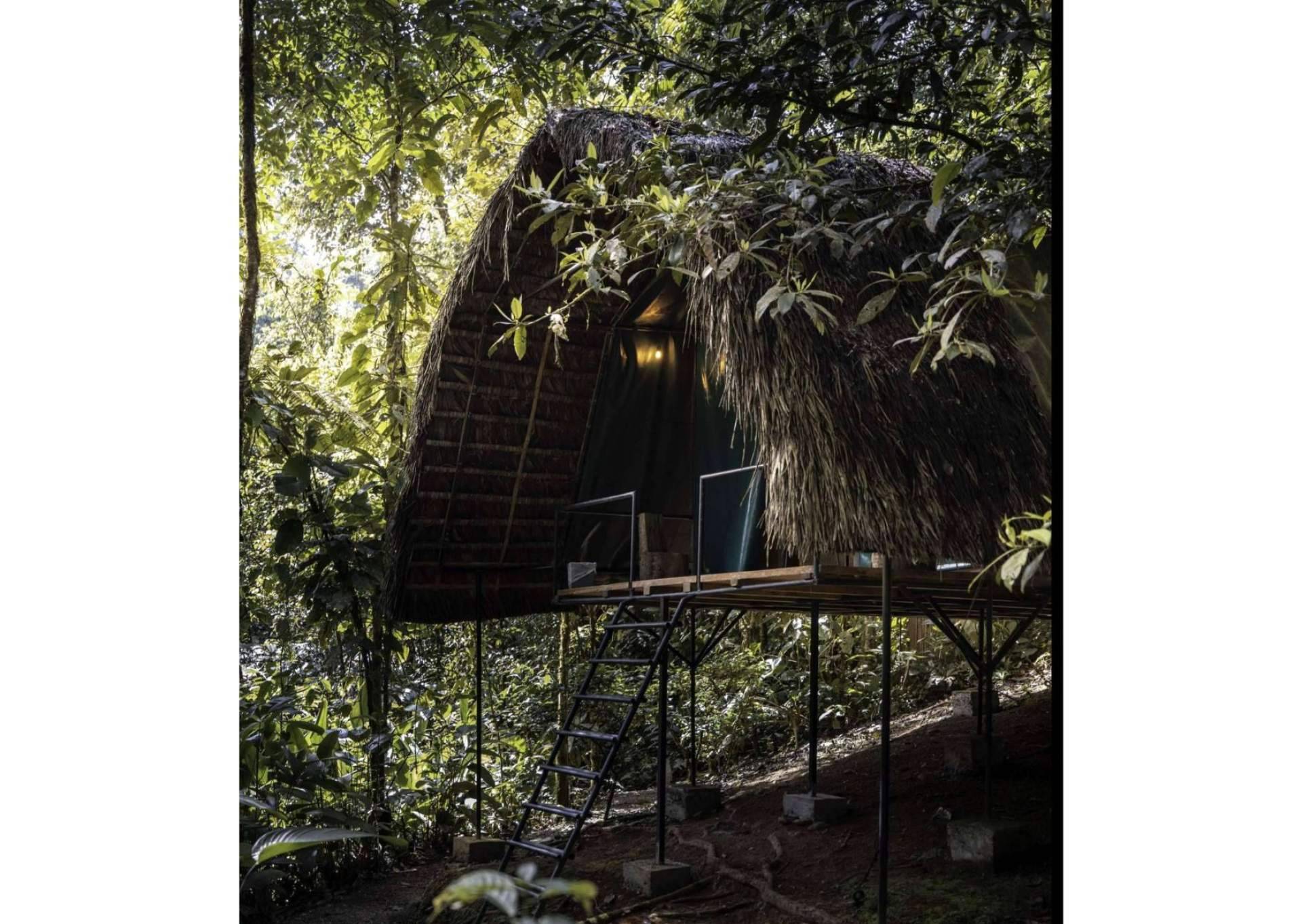 Las tiendas de glamping de Hamadryade Lodge permiten conectar con la naturaleza de la Amazonía ecuatoriana