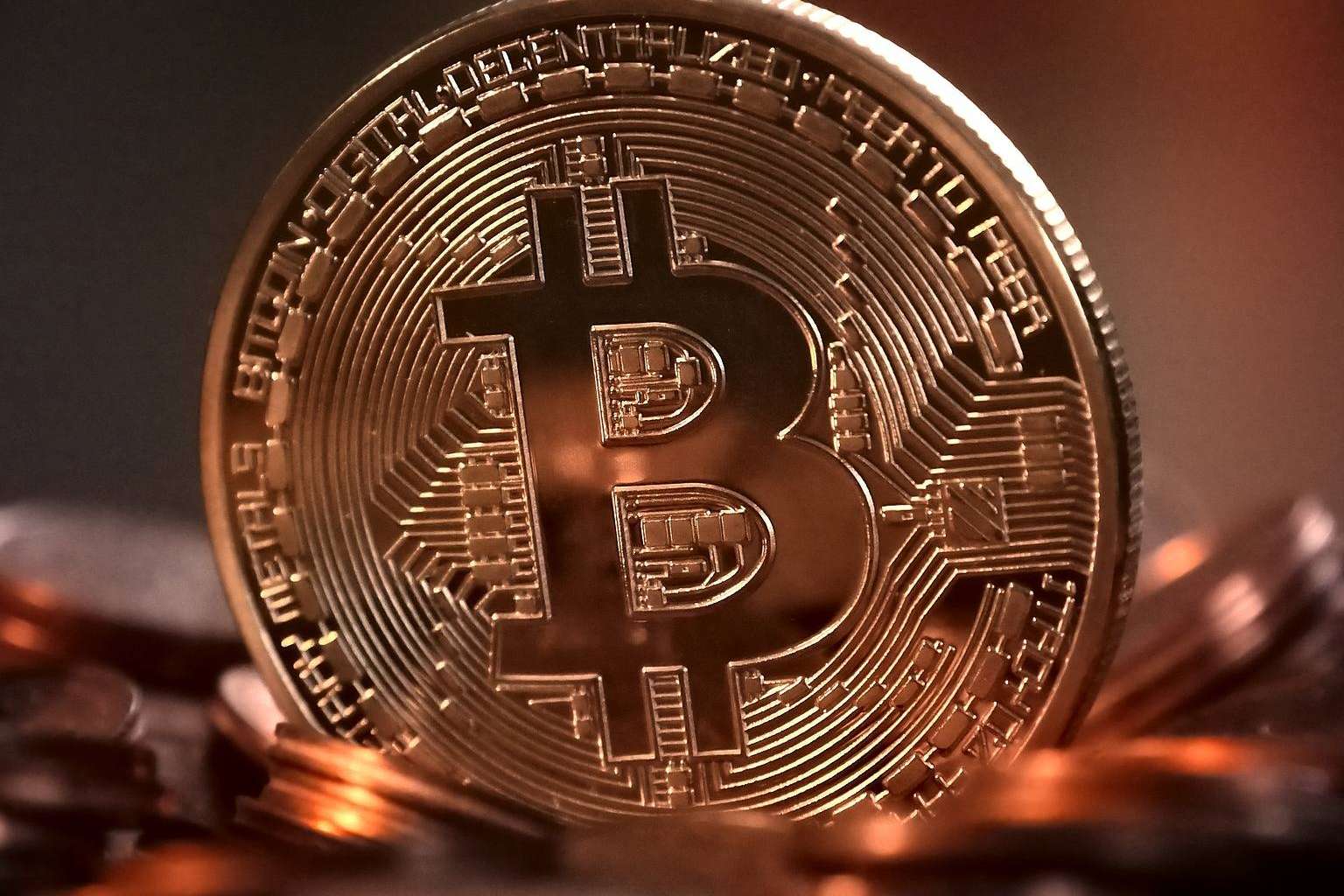 ¿Dónde encontrar una de las plataformas más seguras y reguladas para la custodia de criptodivisas? Jobchain