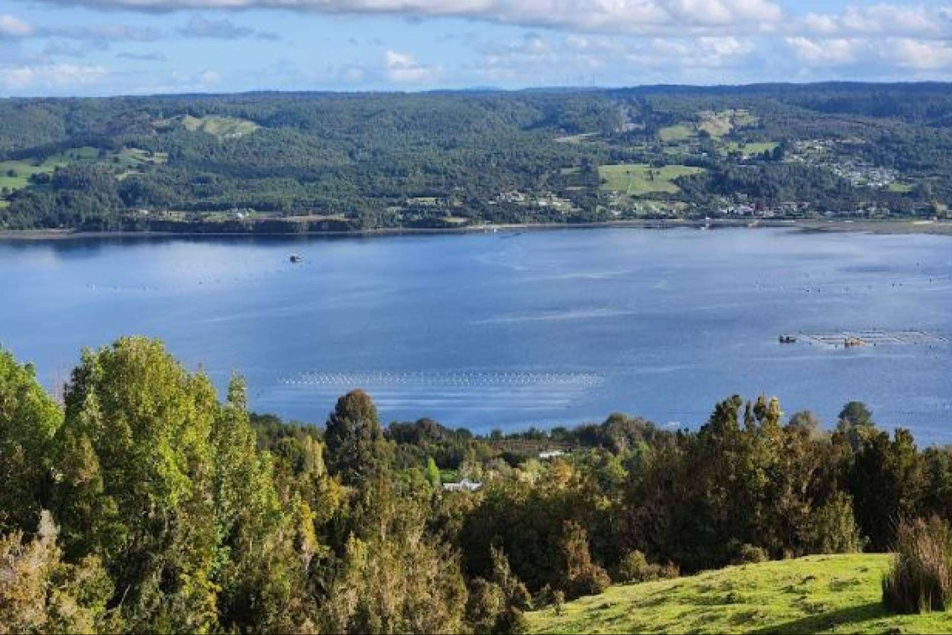 El proyecto de Latitudes Australes para invertir en una parcela y descubrir la belleza de Chiloé es Azul Canelo