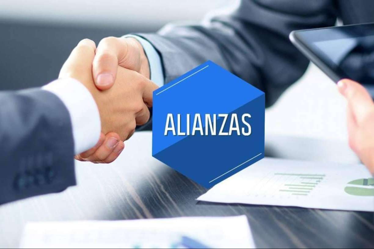Crear alianzas estratégicas con studios y empresas de la industria webcam, por MaJu Studios