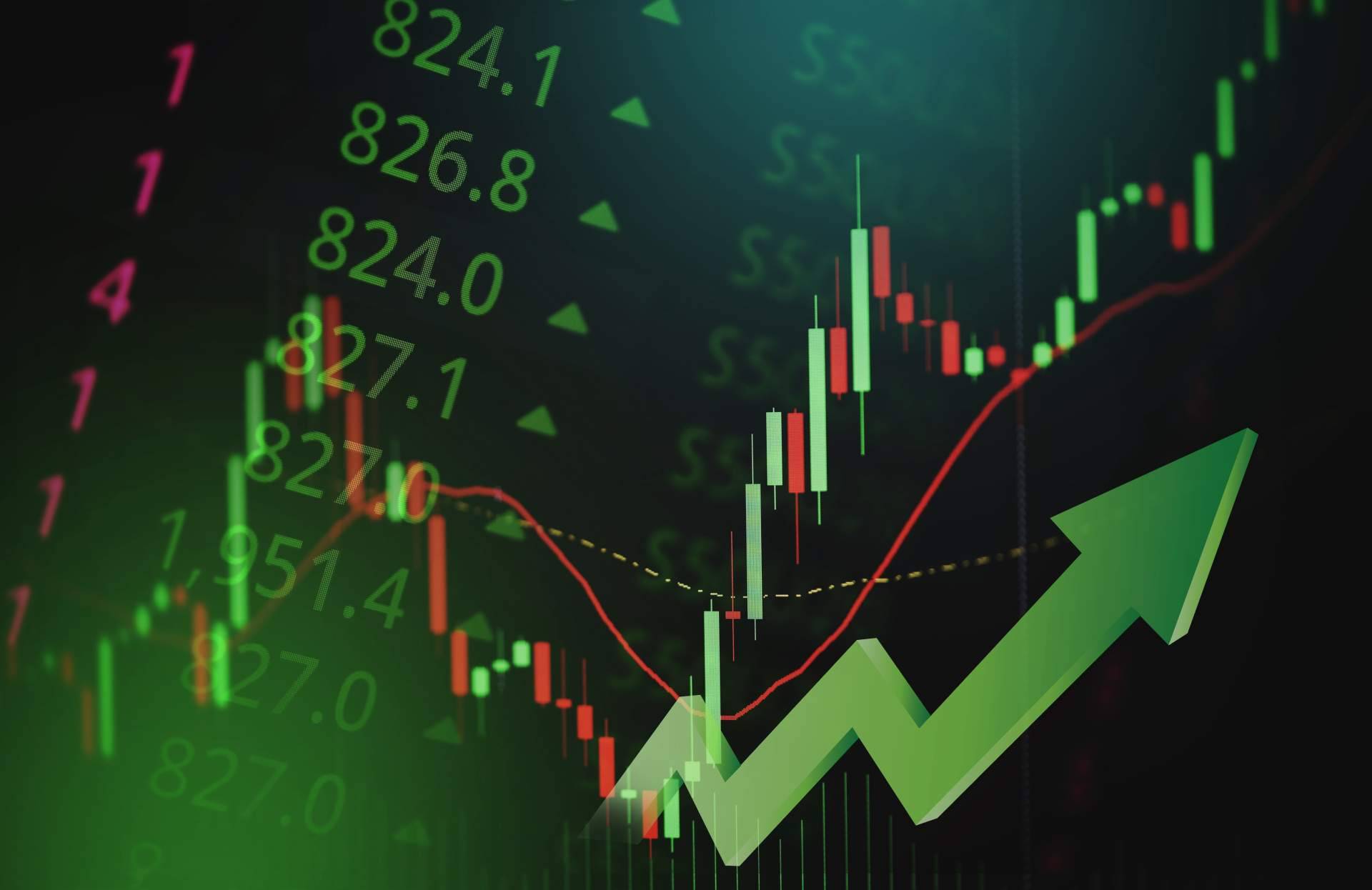 Toma de decisiones financieras, cómo equilibrar el riesgo y la recompensa