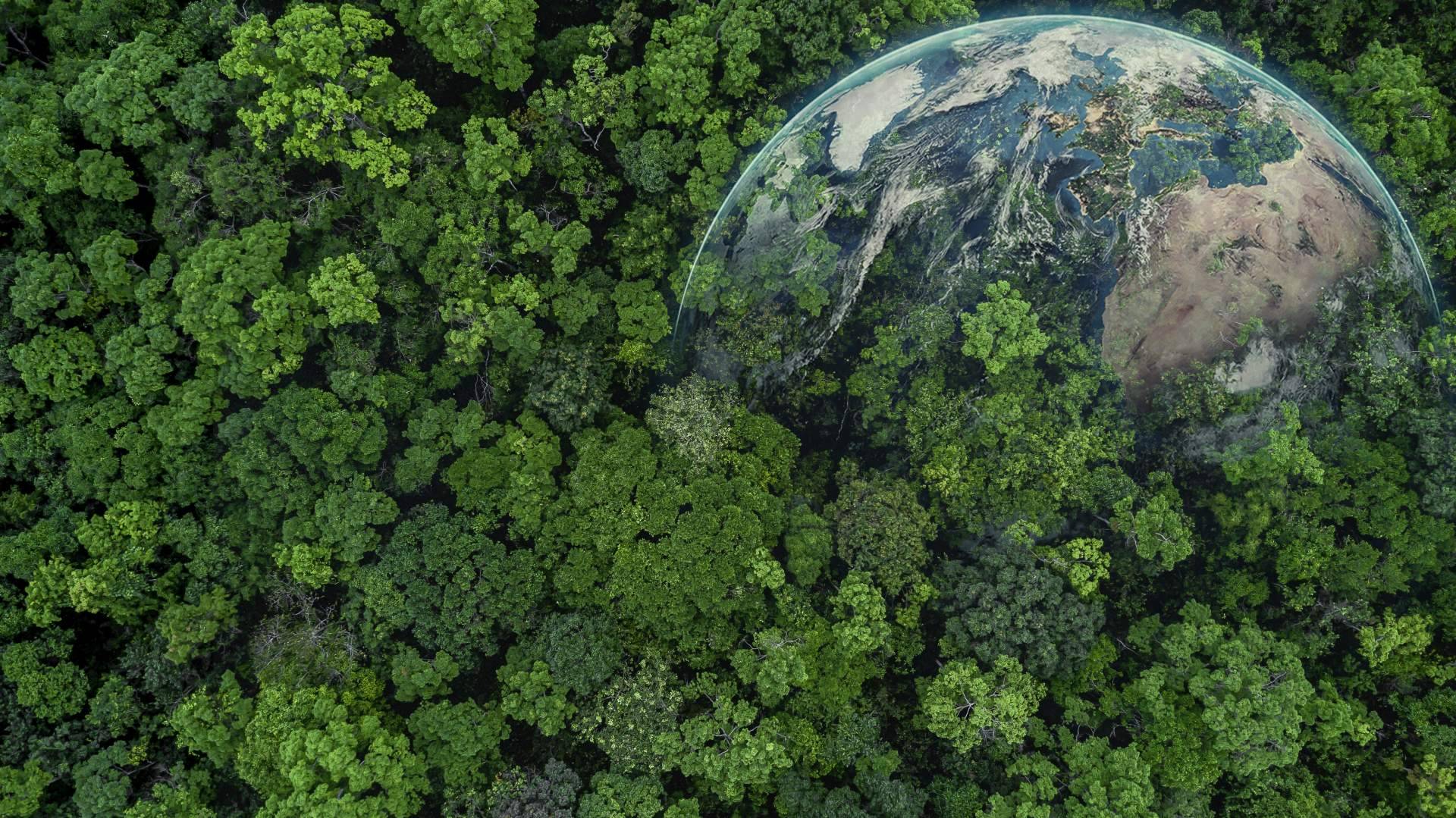 Maniano Aveledo opina sobre el impacto del cambio climático en la economía mundial