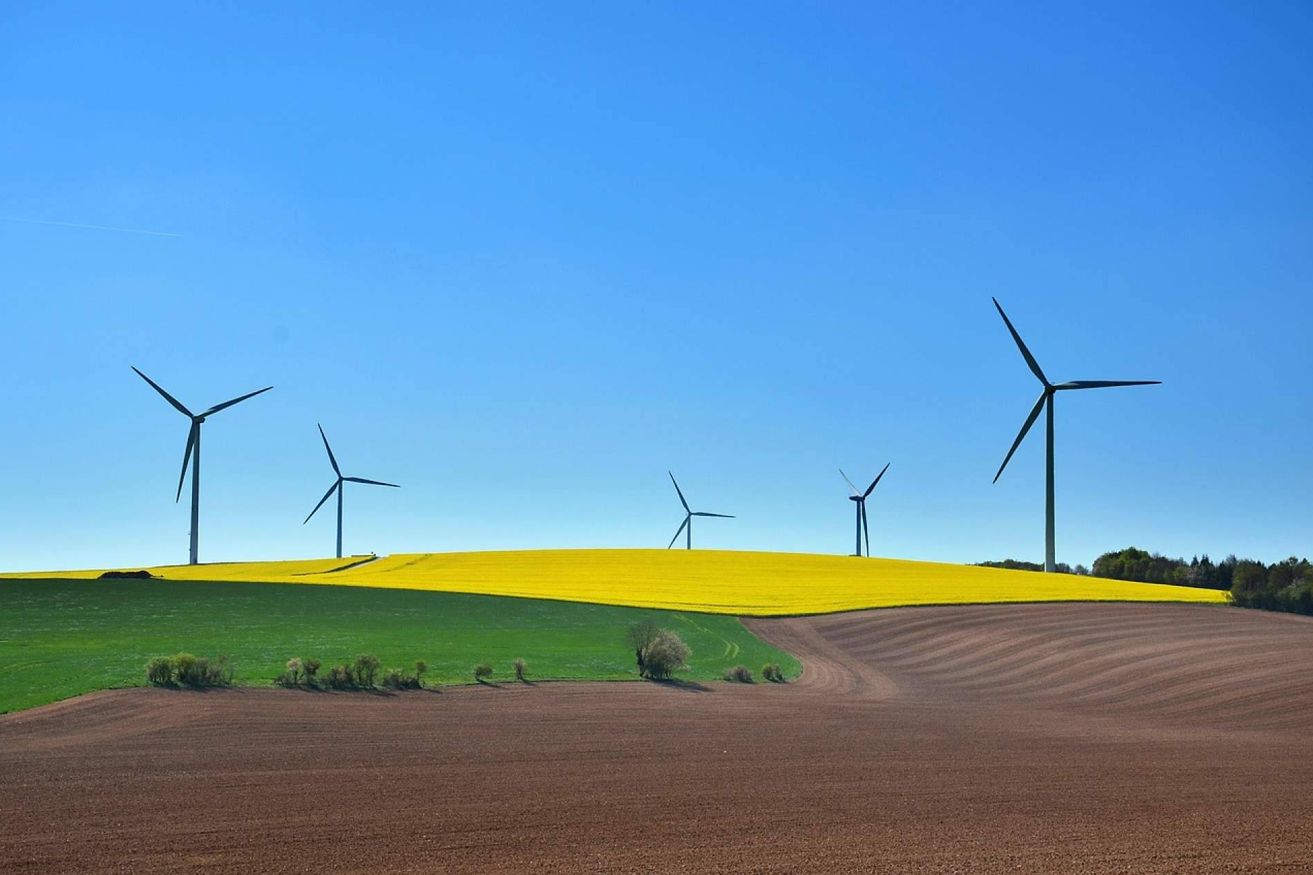 La UPM y OAC abren las inscripciones para el Máster en Acción Climática y Carbono para 2025/26